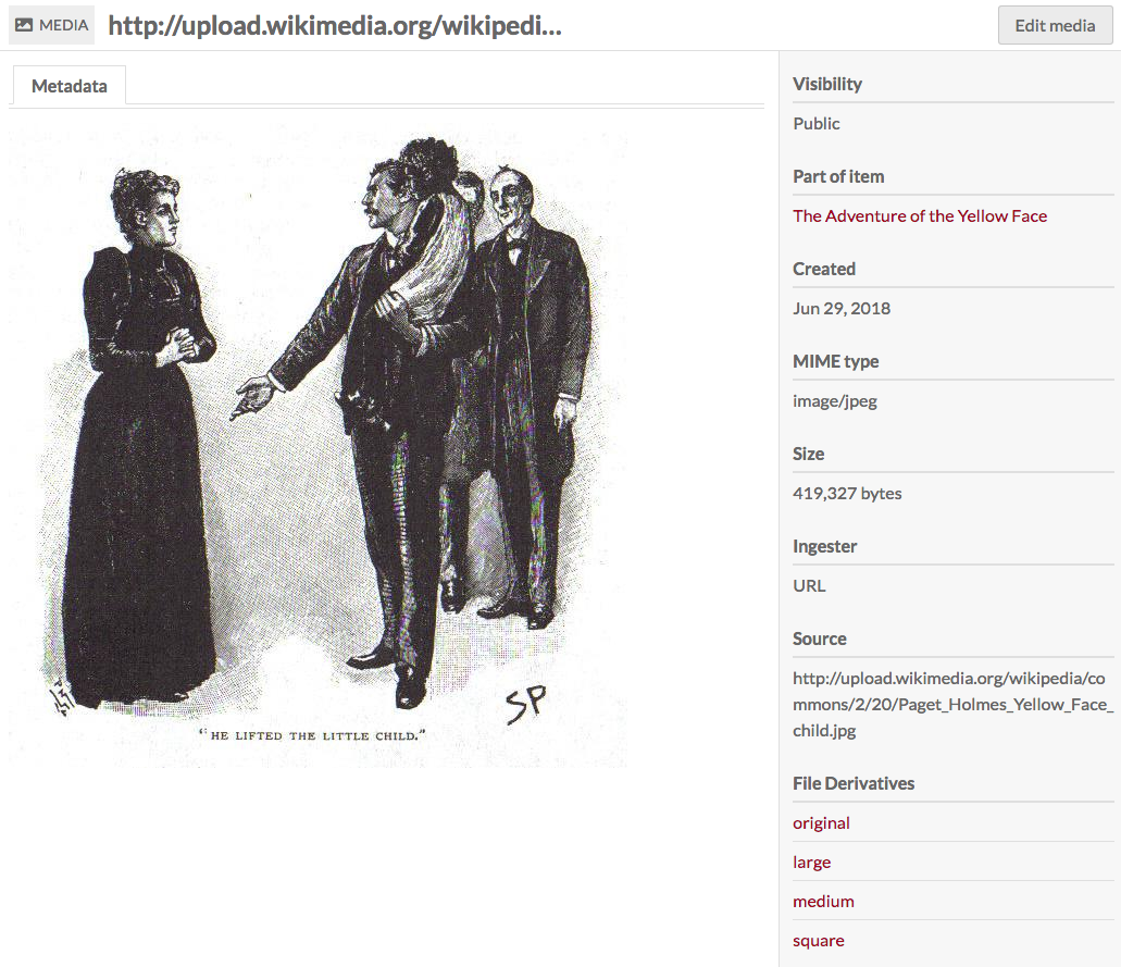 Media view page for a mediawiki file. The image is of a grup of people in late 19th century clothing, from left to right a a women standing and facing a standing man holding a small child while reaching out to the woman, with another man standing and smiling behind the man with the child. On the right hand side of the image is the database information for the media