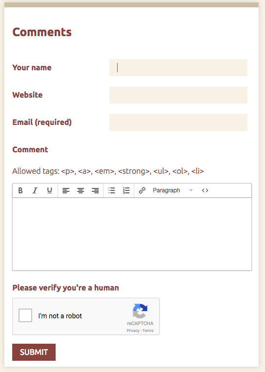 Empty comment on the public side. Fields for Name, Website, and Email appear above a large text box for the visitor to leave a comment. Below the comment field is a reCAPTCHA "please verify you're human" checkbox" and the submit button