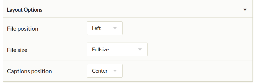 File block layout options