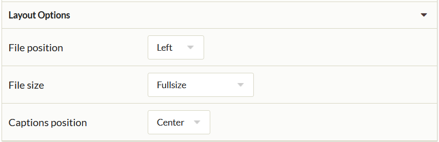 File with Text block layout options