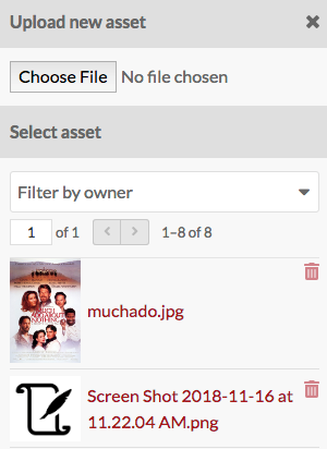 Select drawer with upload option and two assets, both of which are images.