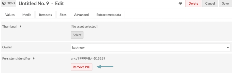 Removing PIDs via Edit Item Advanced tab