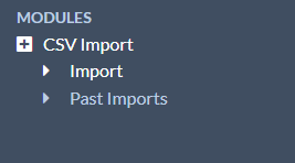 CSV Import subtab options on left hand nav