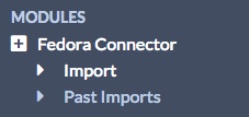 Fedora Connector navigation option with two options for Import and Past Imports