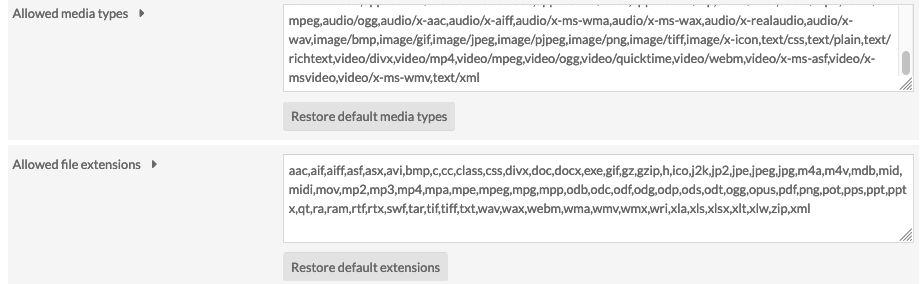 Security settings view for Allowed media types and Allowed file extensions with XML added to the lists.