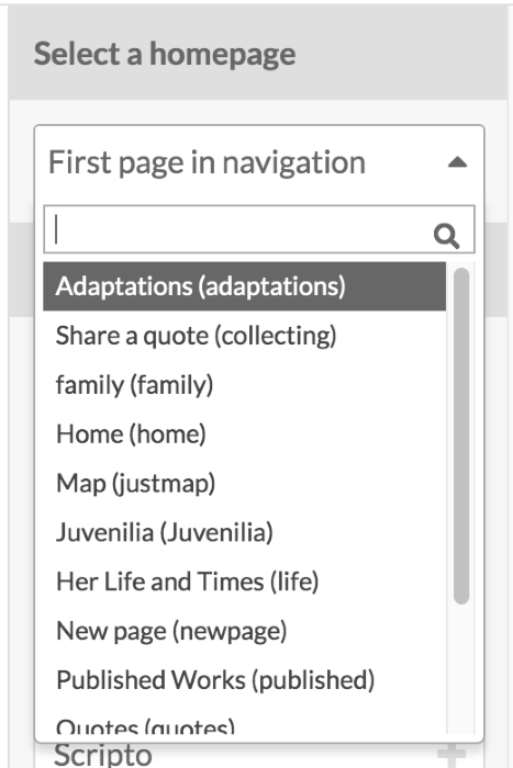Select a homepage dropdown open to show all the pages in this site