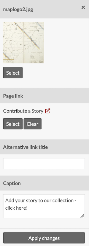 Asset options sidebar with inputs for page link, alternative link title, and caption