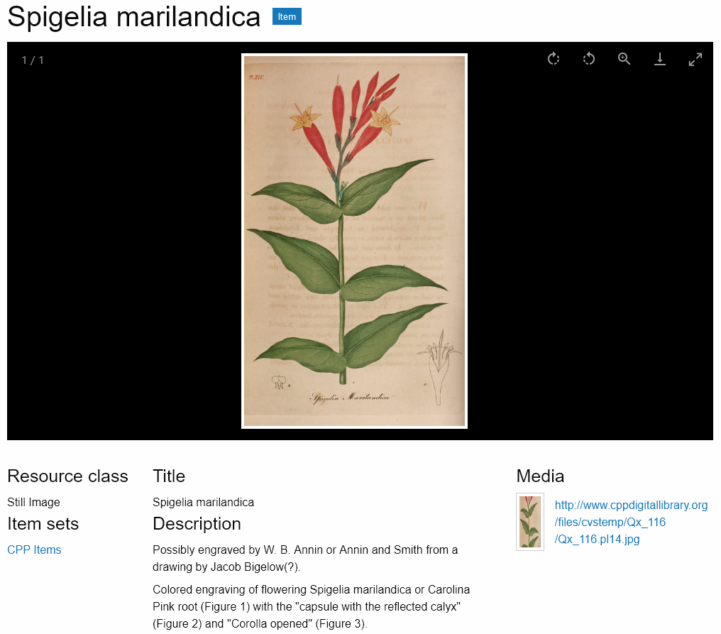 A screenshot of an item titled "Spigelia marilandica" with the lightbox gallery displaying a book's page scan of a flower, and information in the three regions below.